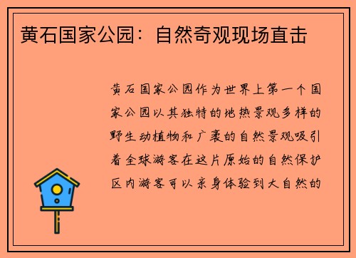 黄石国家公园：自然奇观现场直击